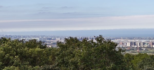 2026/01/25-五酒桶山、山鼻山步道2988103