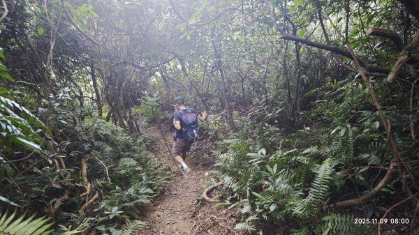 20251109 士林站到大湖站(福山宮_腰繞_燕溪古道_翠山步道_龍船岩_大溝溪)2932324
