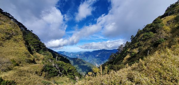 南橫_關山嶺山縱走溪頭山之艱硬路線之美2463261