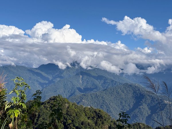 馬那邦山登山步道2925146