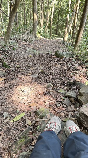 崩潰陡上的水雲三星～鳥嘴山（上島山）2095277