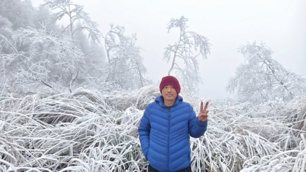 我的2025 第三場雪 #翠峰湖步道 #望洋山 #金翼白眉  2/92708853