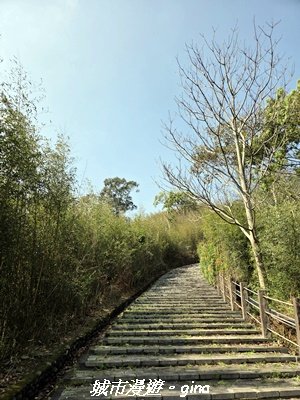 【苗栗頭屋】墨硯山步道3011339