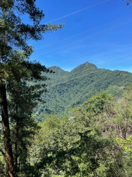 東卯山1750892