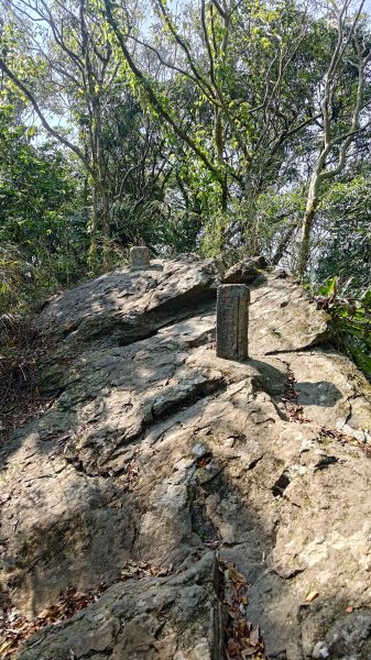 西阿里關山3033628