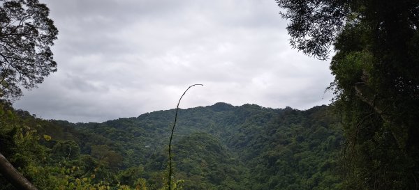 藤坪+猿山+六寮古道 O型-2026/07/263091196