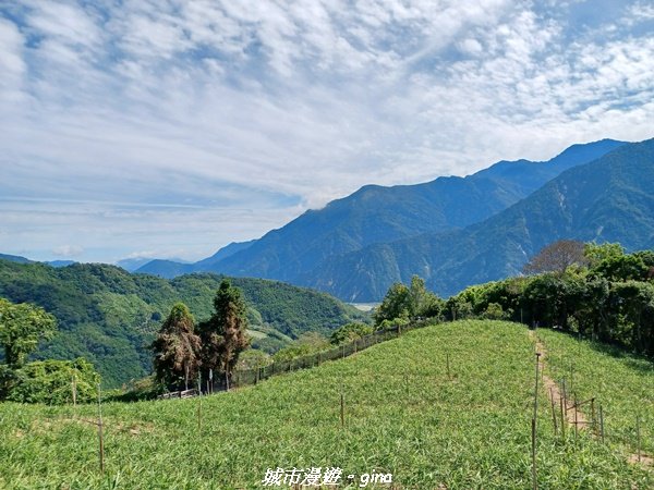 【南投信義】望鄉部落抬頭見玉山。 獵人古道連走、望美山、瓊山2274310