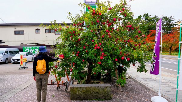 青森縣津輕藩睡魔村2929963