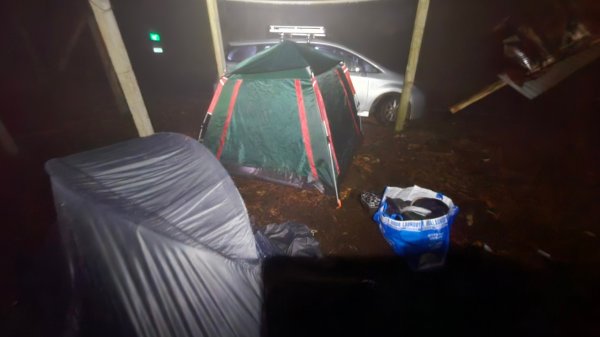 20250209橫沙笛鳶嘴醜肥大西稜O型2709370