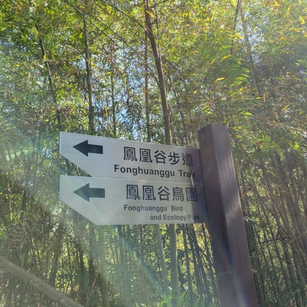 鳳凰谷步道1965948