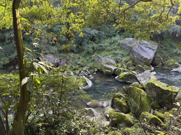 [淡蘭古道] 2026_0315 南路第二段_外按古道3016422