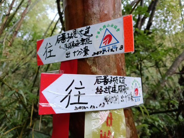 雙溪區后番子坑古道+后番子坑山+平湖東步道+大坑山+下內平林山+上內平林步道出平水2972935