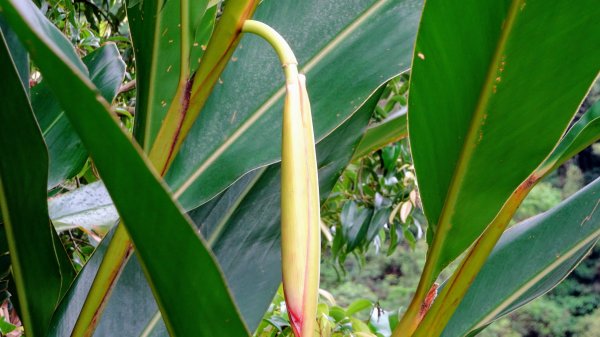 汐止八連路1716779