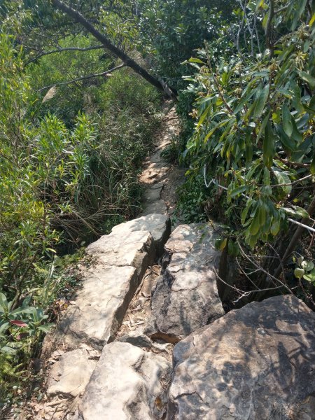 丹鳳山及軍艦岩連走11峰871636