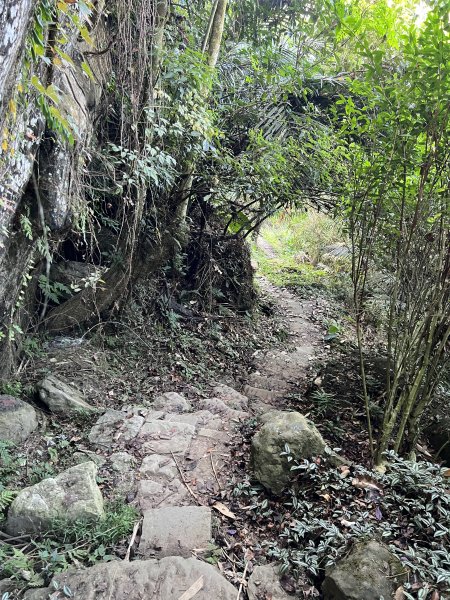 崁頭山步道｜上去後Ｏ型 左上 右下1909857