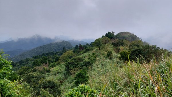 基隆聖稜線-陡不停的五四大縱走2787828