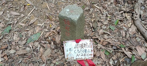 20230404_出磺坑山+古油井步道O型2094209