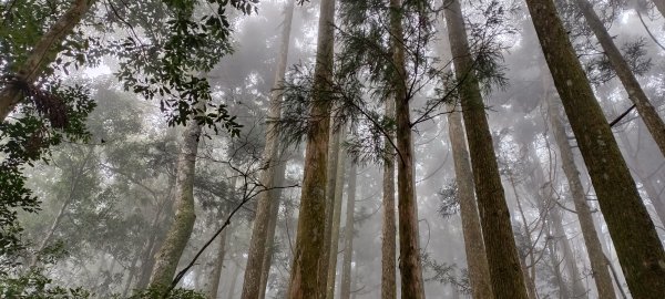 油羅山(1上2下)+太閣南山-2024/07/20