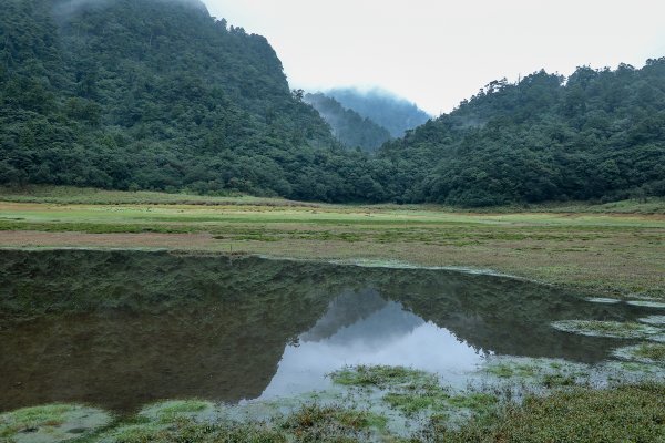 松羅湖月夜2271340