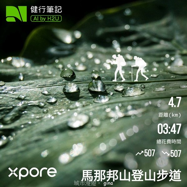 【苗栗大湖】山頂展望佳等到雲海。 馬那邦山登山步道2806829