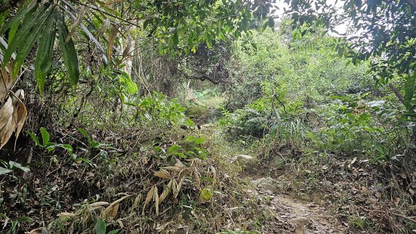 暗影山三進三出2366576