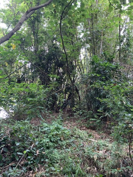 20250929台南馬草山2899813