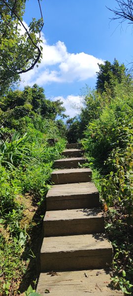 微笑山線：【大棟山系】百年大榕樹段2868490