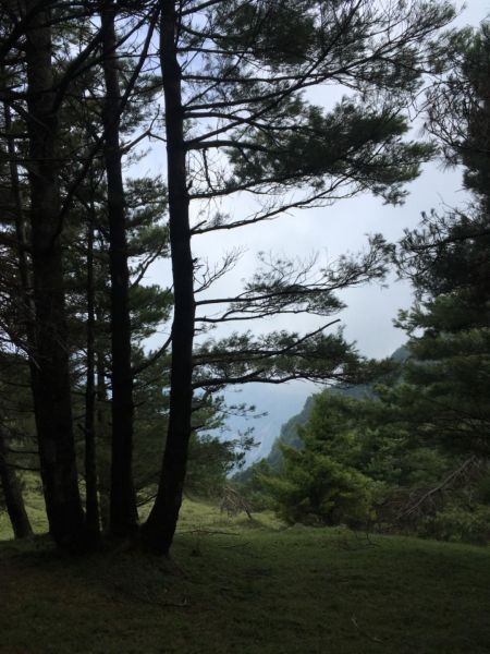 鹿林山388543
