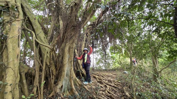 寶山水庫環湖步道O形＋北埔老街2676546