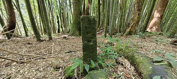 2025/07/06_金牌縱走(觀音洞出發小O型)2829102