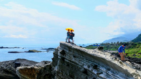 洄瀾東海岸3006676