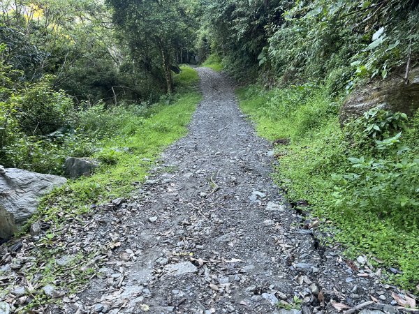 [玉山尋寶任務-03/12] 2025_0810 瓦拉米步道2857377