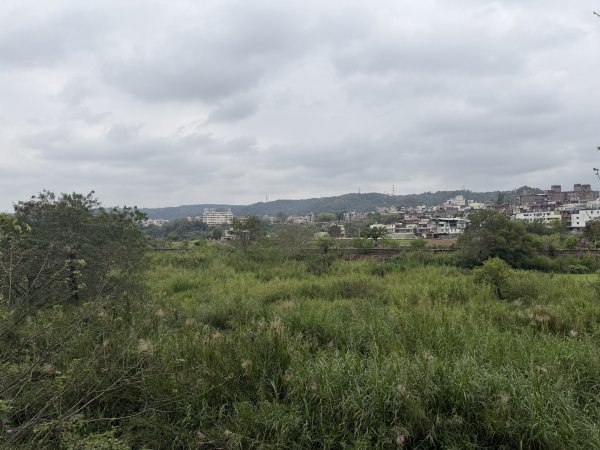 [樟之細路_第二大段RSA13] 2026_0328 渡南古道3025980