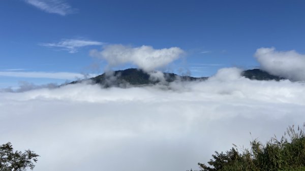 漫步在雲端~觀霧1533326