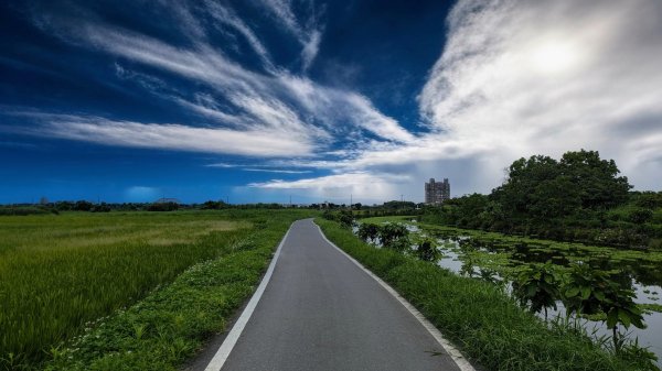 三奇美徑,52甲濕地,傳藝中心2518191