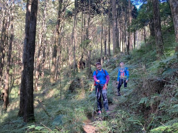 阿里山森林遊樂區、祝山觀日平台賞楓、小笠原山丶對高岳步道、塔山步道1548311