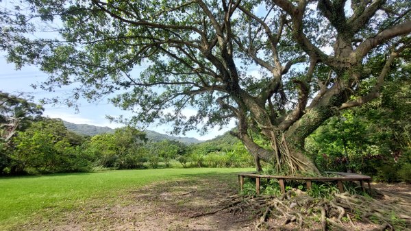 新北萬里丁火朽山、八斗山連走2768664