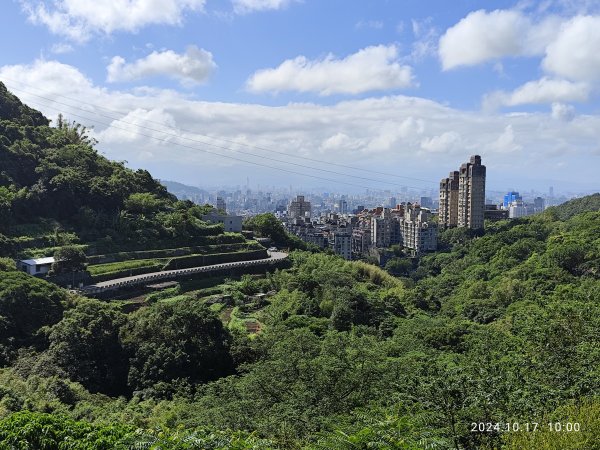 天母→猴洞→湖山→半嶺→第二展望臺→陽峰古道→花田花草集【發現陽明山】2-12629115