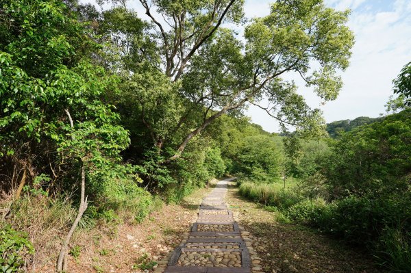 臺中 龍井 竹坑山2767050