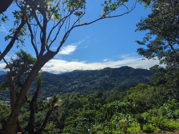 2026.01.25－微笑山線：【天上山系】烘爐地土地公段2994570