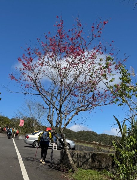 二格山走南邦寮山經草湳福德宮回二格公園3005864