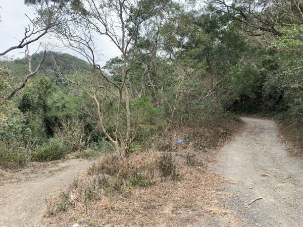 20250404屏東北獅子頭山-霧里乙山2757413