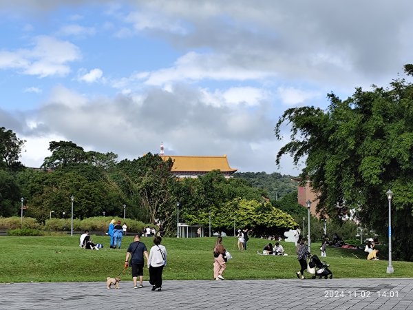 大港墘公園、撫順公園、花博公園圓山園區、新北歡樂耶誕城2651240