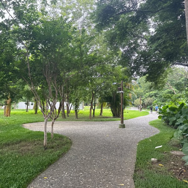 霄裡好好玩2804933