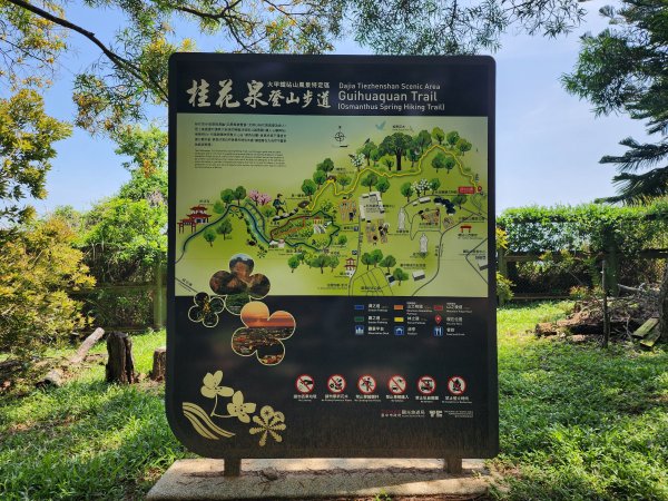 小百岳No.38⛰鐵砧山3045088