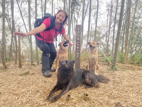 阿拔泉山、觀音石山、紅南坑山、獨立山2650839