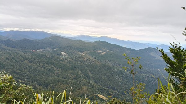 神阿縱走~台灣難抵極~大塔山2971491