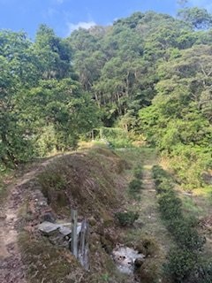 20250517 建安+鳥嘴+雙港子群峰 O型2788279