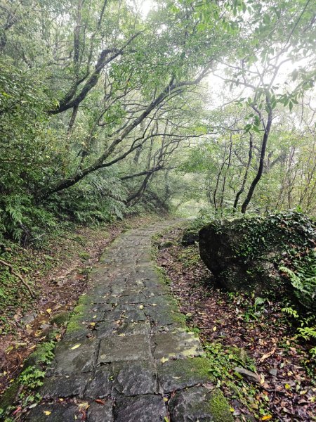 2025臺北大縱走第二段：二子坪至小油坑2973511