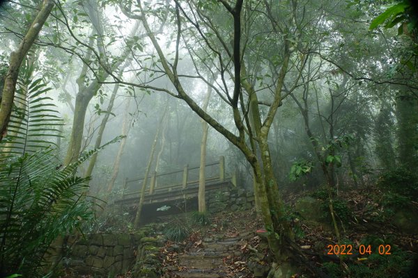 臺南 南化 王爺崙山1664016